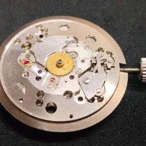 Puede incluir: Un movimiento de reloj mecánico circular con un engranaje central color latón, placas de metal plateado y pequeños rubíes sintéticos rojos. Una tija de cuerda metálica con una corona estriada sobresale del lado del mecanismo.