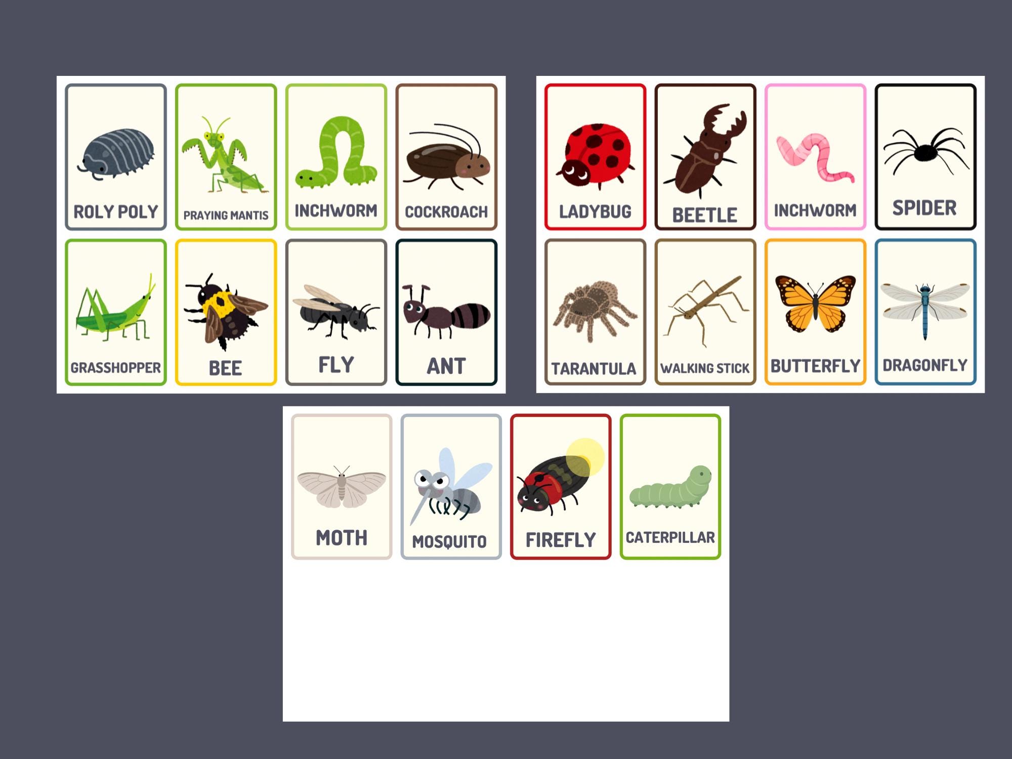 Insect Flashcards Printable Preschool Learning Game | Bug Matching ...