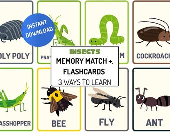Insect Flashcards Printable Preschool Learning Game | Bug Matching Activity for Toddlers | Montessori Nature Cards |Homeschool Science PDF