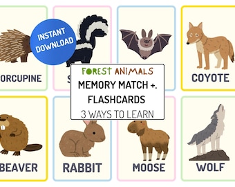 Forest Animal Flashcards & Memory Match Game for Kids | Woodland Animals Preschool Learning Activity | Montessori Toddler Printable