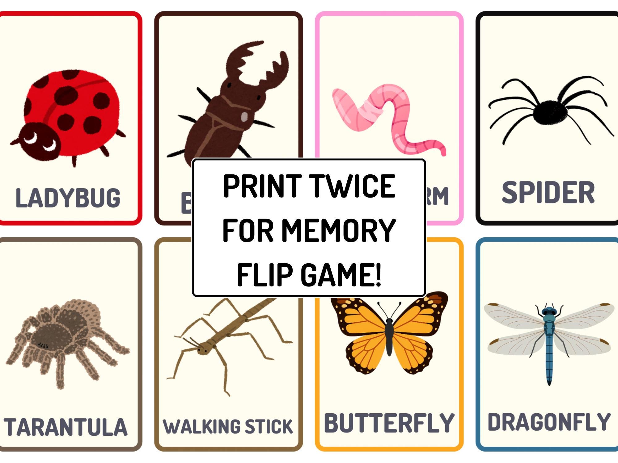 Insect Flashcards Printable Preschool Learning Game | Bug Matching ...