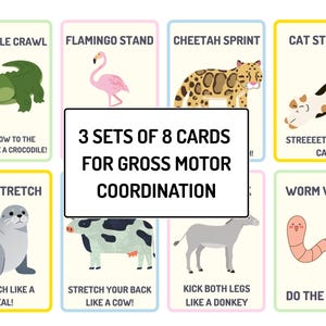 May include: Set of 24 cards for gross motor coordination, featuring animal-themed exercises. Each card has an illustration and instructions, such as "Crocodile Crawl" and "Cat Stretch." The cards are designed to encourage physical activity.