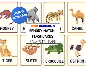 Zoo Animal Flashcards Printable | Zoo Animals Memory Match Game | Preschool Learning Activity | Toddler Homeschool Printable PDF