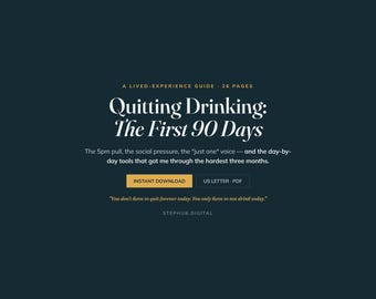 90 Day Sobriety Journal | Alcohol Recovery | Daily Check-In Guide | Digital Download