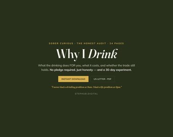 Sober Budget Planner | Alcohol Recovery | Financial Freedom Guide | Digital Download
