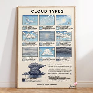 Puede incluir: Un póster educativo titulado CLOUD TYPES que presenta ilustraciones de diez formaciones nubosas, incluyendo Cirrus, Cirrocumulus, Cirrostratus, Altocumulus, Altostratus, Stratocumulus, Stratus, Cumulus, Nimbostratus y un gran Cumulonimbus con lluvia.