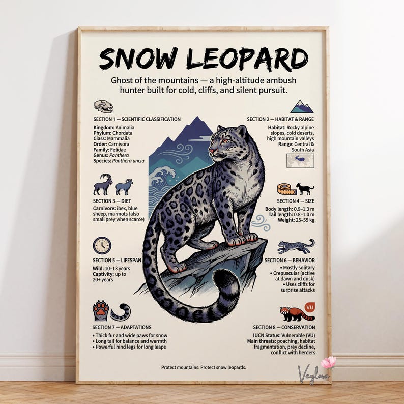 Snow Leopard Poster | Educational Wildlife Print, Classroom Decor - Etsy