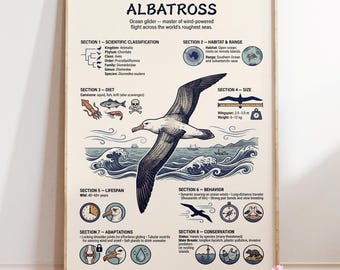 Albatross Infographic Poster : Seabird Wall Art | Educational Animal Print | Coastal Nature Decor