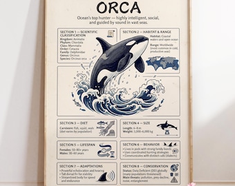 Orca Infographic Poster : Killer Whale Wall Art | Marine Life Illustration | Ocean Animal Print | Coastal Nature Decor
