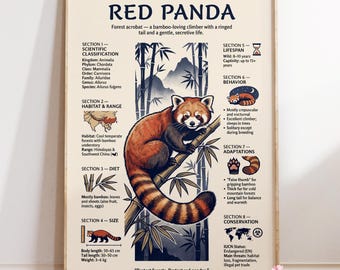 Red Panda Infographic Poster : Wildlife Wall Art | Educational Animal Print | Nature Decor Gift