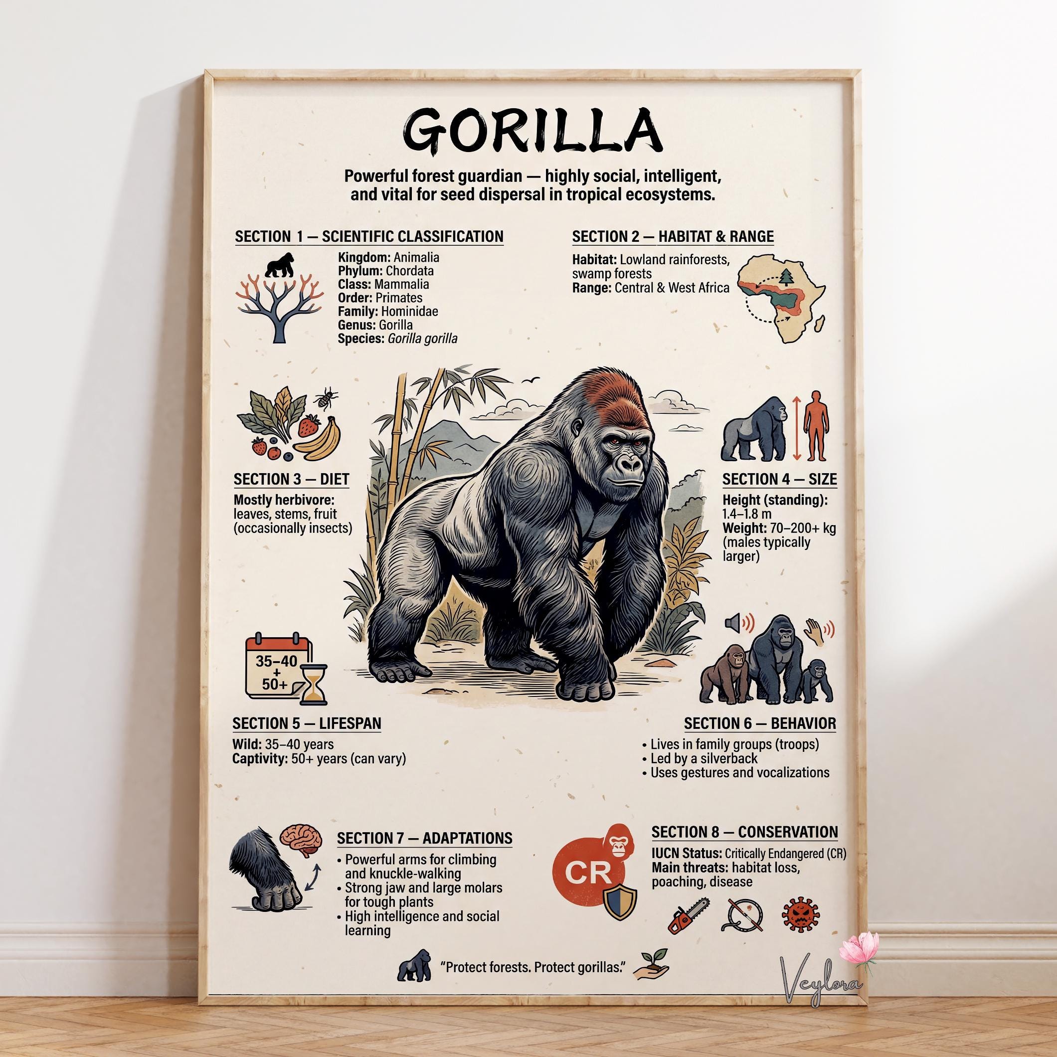 Gorilla Poster - Etsy