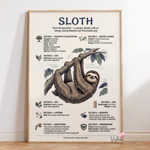 Sloth Infographic Poster : Wildlife Wall Art | Educational Animal Print | Nature Decor Gift