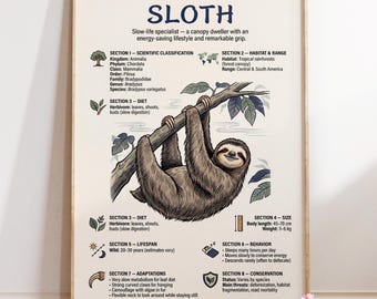Sloth Infographic Poster : Wildlife Wall Art | Educational Animal Print | Nature Decor Gift