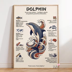 May include: Framed poster with a dolphin illustration, scientific details, and habitat information. The dolphin is depicted leaping through stylized waves. Text includes "DOLPHIN" and "Protect oceans. Protect dolphins." The dolphin's length is 1.7-4.0 m.