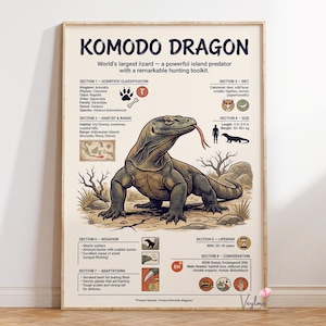 Könnte beinhalten: Gerahmtes Poster mit einer Illustration des Komodo-Drachen und wissenschaftlichen Informationen. Das Poster enthält Details zu Lebensraum, Ernährung, Größe (2,0-3,0 m, 30-90+ kg), Verhalten, Lebensdauer und Schutzstatus.