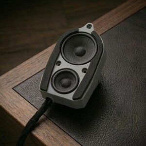 BMW E46 Door tweeter speaker upgrade