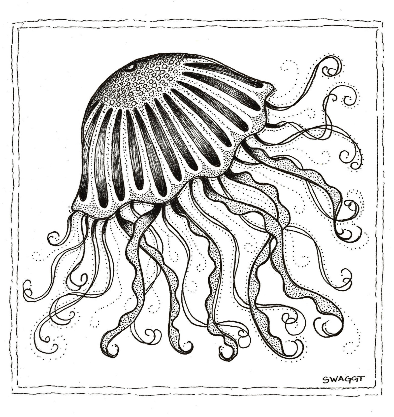 Print of black and white Jellyfish pen and ink drawing | Etsy