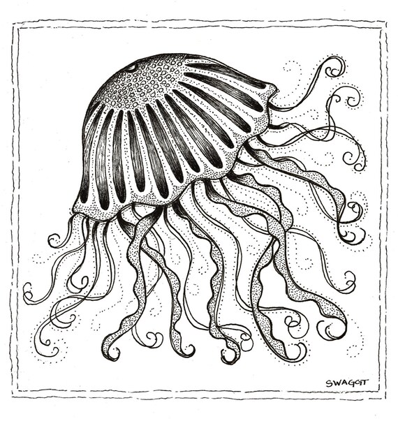 Print Of Black And White Jellyfish Pen And Ink Drawing Etsy Print Of Black And White Jellyfish Pen And Ink Drawing Etsy