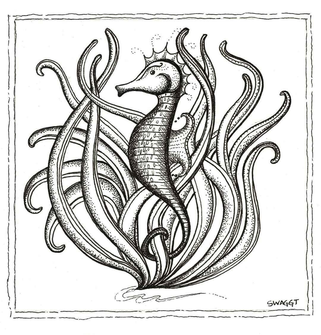 Print of Black and White Seahorse Pen and Ink Drawing Etsy