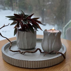 May include: A decorative arrangement featuring a small potted plant with dark red and green leaves, a lit candle in a gray tulip-shaped holder, and a dried branch on a gray concrete tray. The tray is on a wooden table near a window.