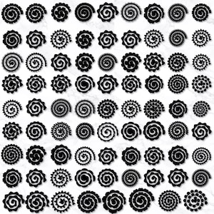 May include: A collection of black paper flower cutouts in various spiral and rosette designs. The cutouts have detailed edges and varying sizes, suitable for crafting and scrapbooking projects. The background is a light, textured surface.