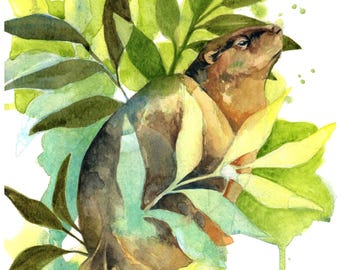 Marmot 8x10 inch Original Watercolor Fine Art Print