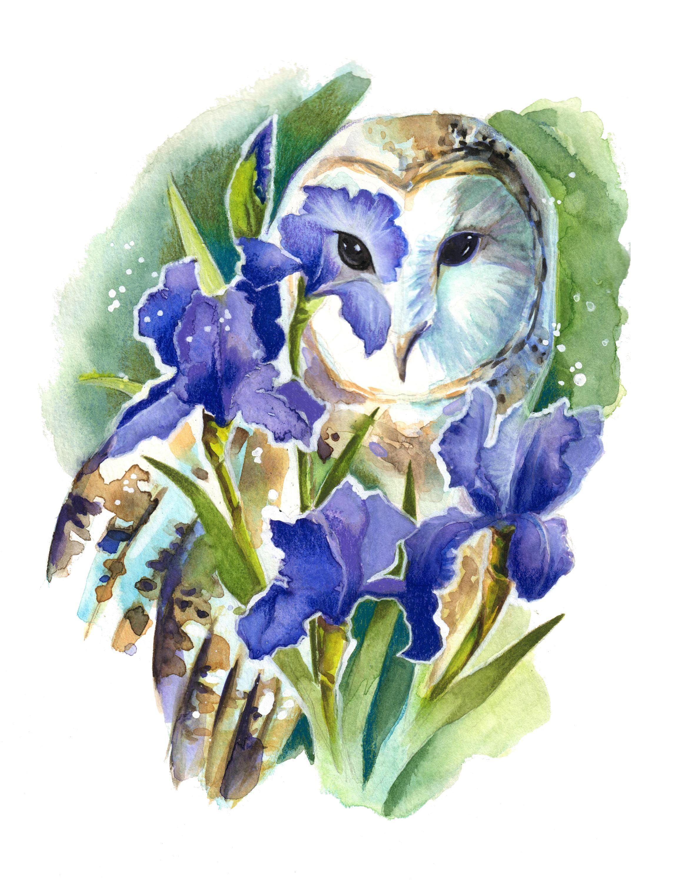 Magical Barn Owl 8x10 Inch Original Watercolor Fine Art Print