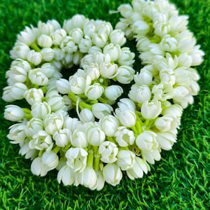 Peut inclure: Une guirlande circulaire de fleurs de jasmin blanches. Les fleurs sont densément regroupées, avec des tiges vertes visibles. Le fond est vert vif, créant un contraste avec les fleurs blanches. Idéal pour la décoration.