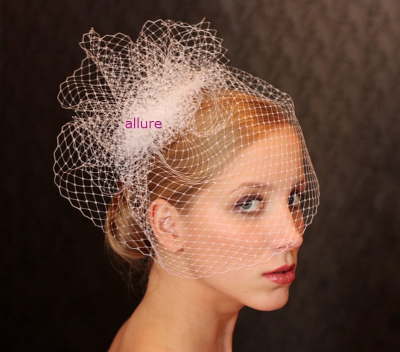 BIRD CAGE VEIL unique and so glamorous. Head piece wedding | Etsy