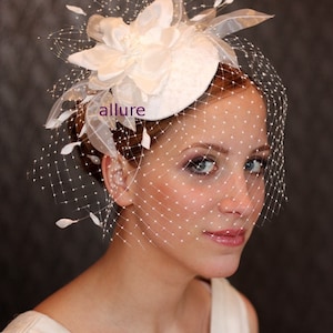 BIRDCAGE VEIL , wedding hat, fabulous wedding hair flower, headdress, bridal hat. Amazing bird cage veil with head piece image 1