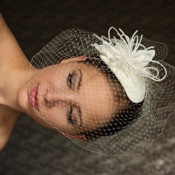 birdcage headpiece wedding