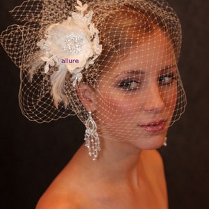 Fabulous BIRD CAGE VEIL , wedding hat, bridal hat. Amazing fascinator, hair flowers, lace, pearls, crystals, feathers. image 2