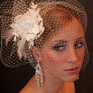 Fabulous BIRD CAGE VEIL , wedding hat, bridal hat. Amazing fascinator, hair flowers, lace, pearls, crystals, feathers. image 1