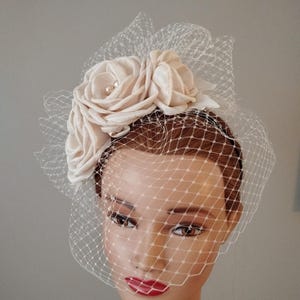 SALE 40% OFF champagne wedding birdcage veil, wedding hair flowers comb, bridal birdcage veil with hair flowers on headband. Wedding veil