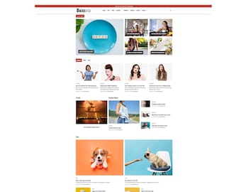 Buzzoria WordPress Blog Theme | News, Vlogs, Website Design