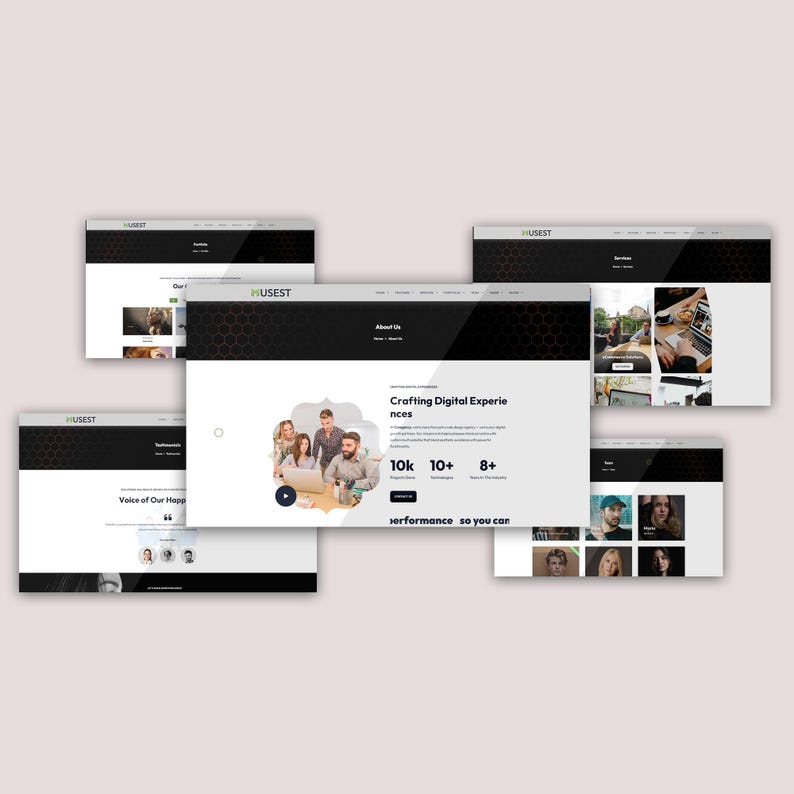 Hosting Company WordPress Theme | Responsive Design | Fast Loading | Easy Setup | Free Installation | Lifetime Free Support | Exclusive image 8