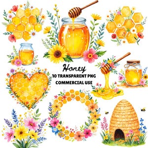 Clipart di miele, clipart di miele ad acquerello, clipart di ape, vasetto di miele PNG, miele PNG, clipart floreale, clipart di fiori selvatici