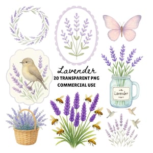 Lavender PNG bundle, Lavender Clipart, Watercolor Lavender, Wildflower Clip Art, Purple Bouquet Clipart