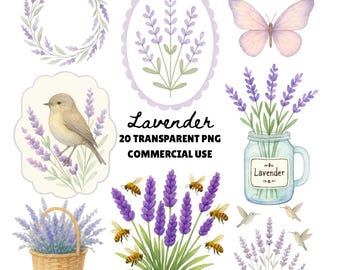 Lavendel PNG-Bundle, Lavendel Clipart, Aquarell Lavendel, Wildblumen Clip Art, lila Blumenstrauß Clipart