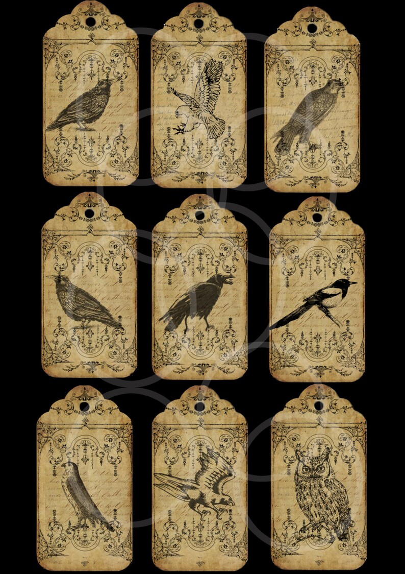 9 Vintage Birds TAGS printable digital download