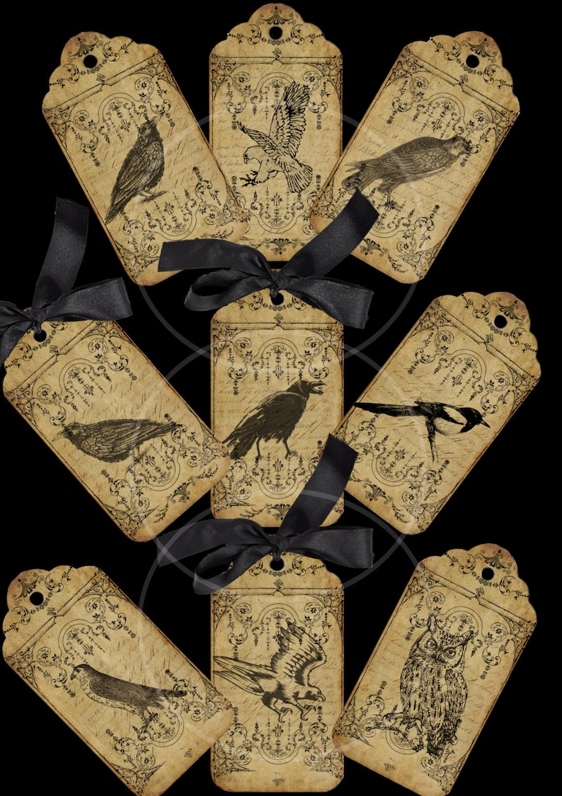 9 Vintage Birds TAGS printable digital download