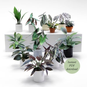 Miniature Houseplants IV - for Doll House Scale 1:12 (and more) - 12 different plants  - PDF printable to download