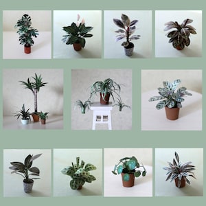 Eleven miniature paper plants, each in individual photos.