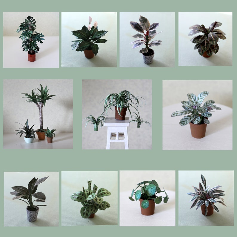 Eleven miniature paper plants, each in individual photos.