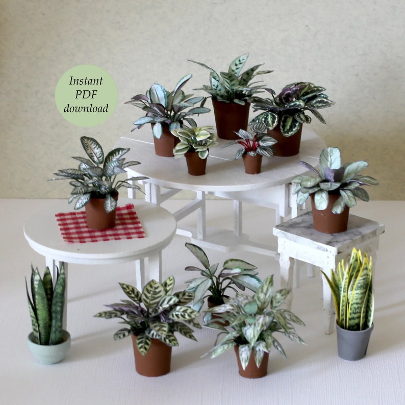 Ten different paper plants are displayed on a floor and on three tables.