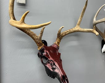 3d printed deer skull