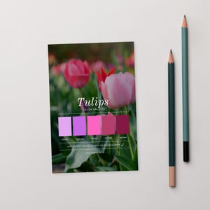Op de afbeelding: Een kleurenkaart met het woord "Tulips" en een kleurenpalet van roze en paarse tinten. De kaart ligt naast twee potloden, een groene en een blauwgroene.