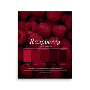 May include: A poster featuring a raspberry color palette. The image showcases a background of fresh raspberries, with the word "Raspberry" in elegant script. Below, a color palette displays five shades of red, with corresponding hex codes. The text encourages users to enter the hex codes on shadesurfer.io.