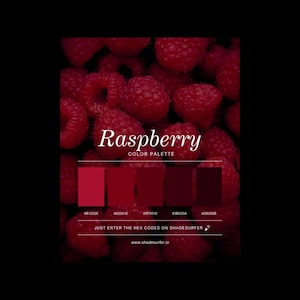 May include: A colour palette graphic with a background of raspberries. The text reads "Raspberry COLOR PALETTE" and "JUST ENTER THE HEX CODES ON SHADESURFER". Five shades of red are displayed with their hex codes.