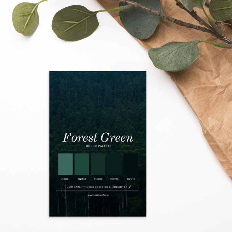 Forest Green Html Code Forest Green Color Palette Postcard, Swatch Reference Card, Hex Codes ...